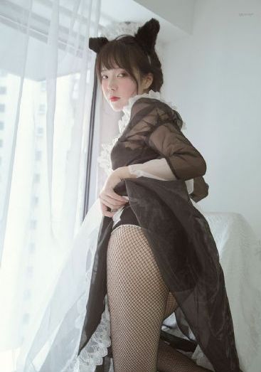 人狗情未了_DVD在线播放观看