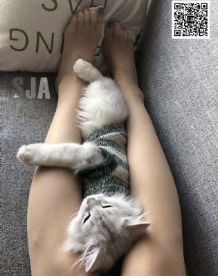 山海伏妖录_BD高清免费观看