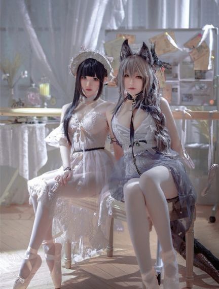 女士的法则电视剧在线观看_1080高清完整版播放