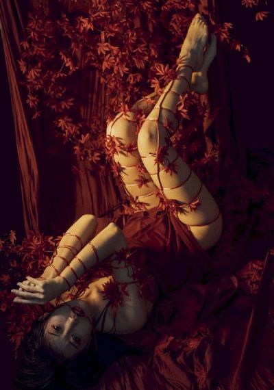 人妖hd_1080P电影完整版在线观看