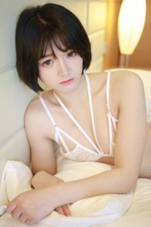 小花仙_DVD动漫在线观看